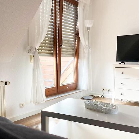 Schoenes 1 Zimmer Apartment Mit Dachterrasse Glauchau Ngoại thất bức ảnh