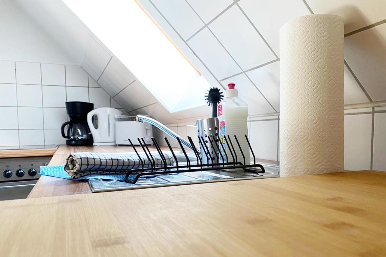 Schoenes 1 Zimmer Apartment Mit Dachterrasse Glauchau Ngoại thất bức ảnh